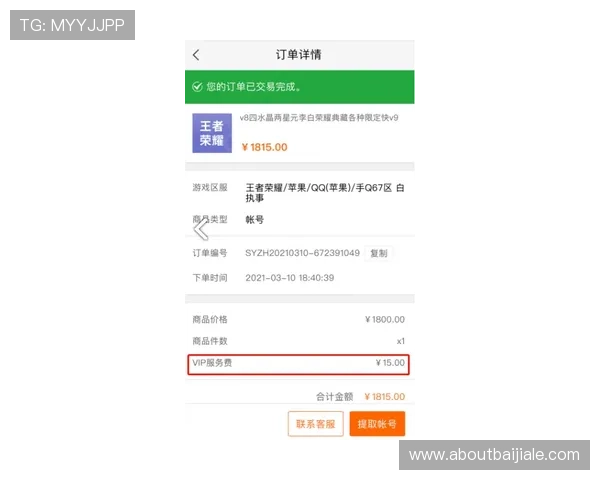 云顶4008游戏登录安全验证措施，保障账号安全的多重保护策略