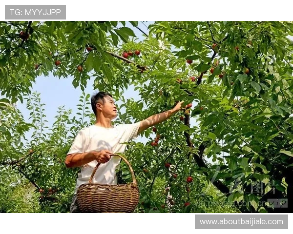 云顶集团登录入口:多设备登录支持与账号安全保障措施 云顶集团登录入口:多设备登录支持与账号安全保障措施