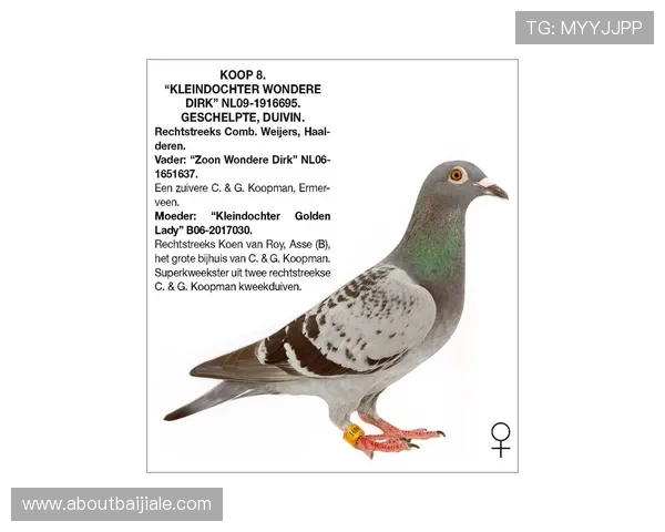 掌握K8真人官方入口的最新动态与更新信息，确保您始终第一时间体验到最优质的游戏服务