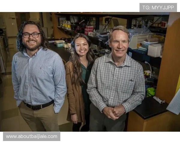 真人百家乐常见问题解答帮助新手快速入门并避免常见误区